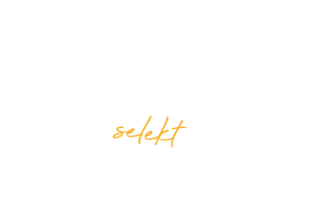 logo evelinamarket 22